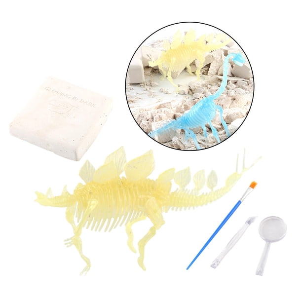 Juguete fósil de dinosaurio perfke Excavación de fósiles de dinosaurio Estegosaurio