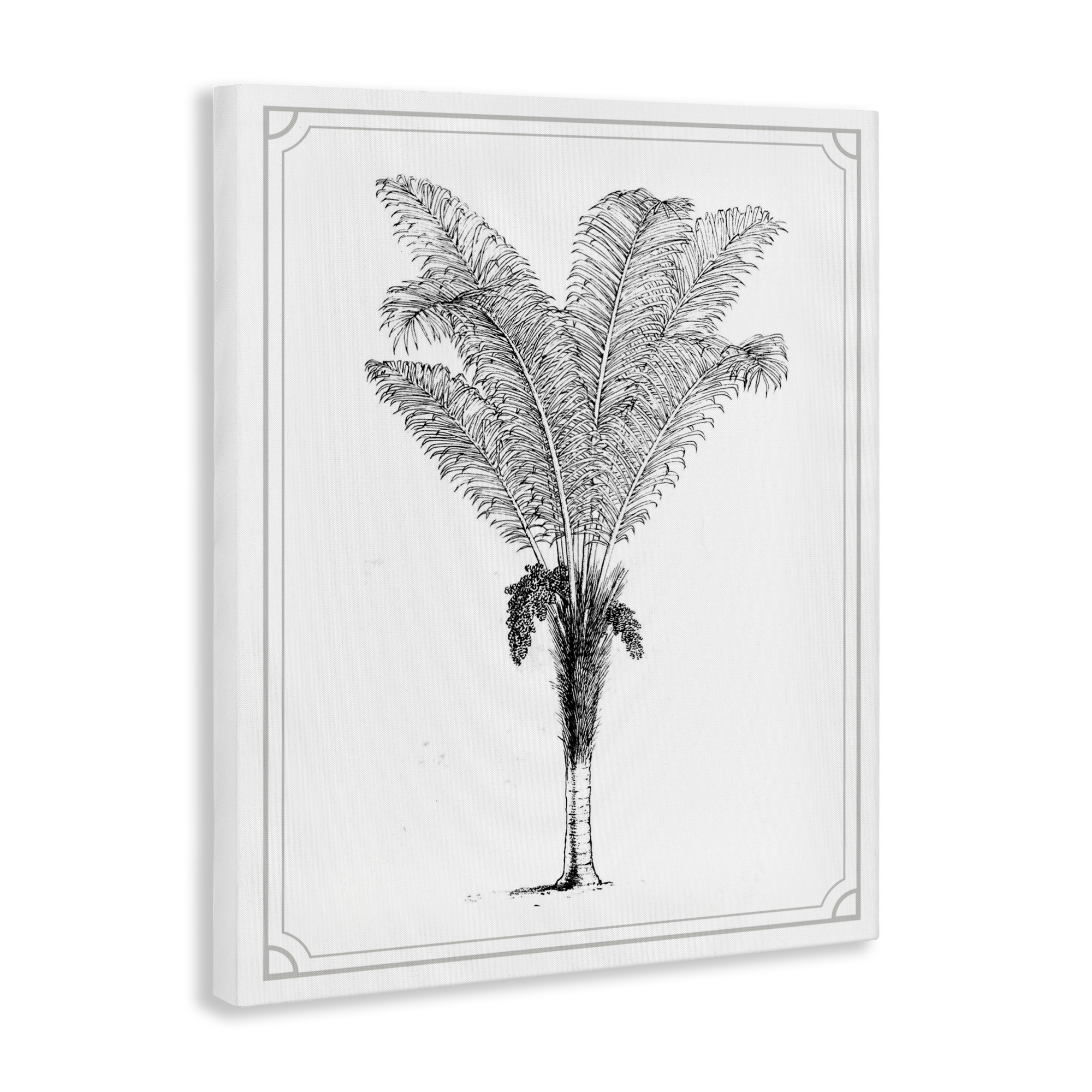 Vintage & Minimal Palm Canvas Wall Art, design by Lettered and Lined