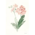 thumbnail image 2 of Nai, Danhui 11x14 White Modern Wood Framed Museum Art Print Titled - Spring Orchid II, 2 of 4