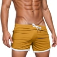 thumbnail image 3 of Men Plus Size Beach Pants Fashion Palm Tree Print Quick-Dry Pool Swimming Trunks with Pockets Anti-Chafe Beach Wear, 3 of 5