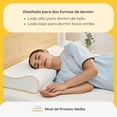 thumbnail image 3 of Almohada Nooz Dual Memory Foam Cervical Doble Altura Soporte Ergonómico Firme Para Cuello Funda Lavable, 3 of 8