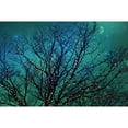 thumbnail image 3 of Marmont HIll 'Magical Night' by Sylvia Cook Painting Print on Wrapped Canvas, 3 of 5
