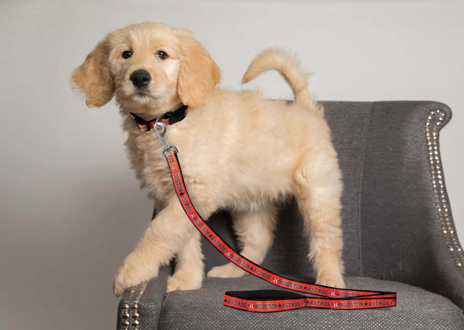 Pets First MLB Houston Astros Cats and Dogs Durable Pet Leash, Medium