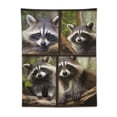 thumbnail image 5 of JEUXUS Flannel Blanket 3D Raccoon Blanket Soft Cozy Plush Bed Sofa Throw Blanket 30\x40\, 5 of 7