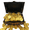 Shiny Gold + Chest, variant on Seven Seas Pirates - Buccaneer Treasure Octopus Chest with Lot of 50 Shiny Gold Doubloons - Rogue`s Jewelry Cache Filled Coins for Pretend Games