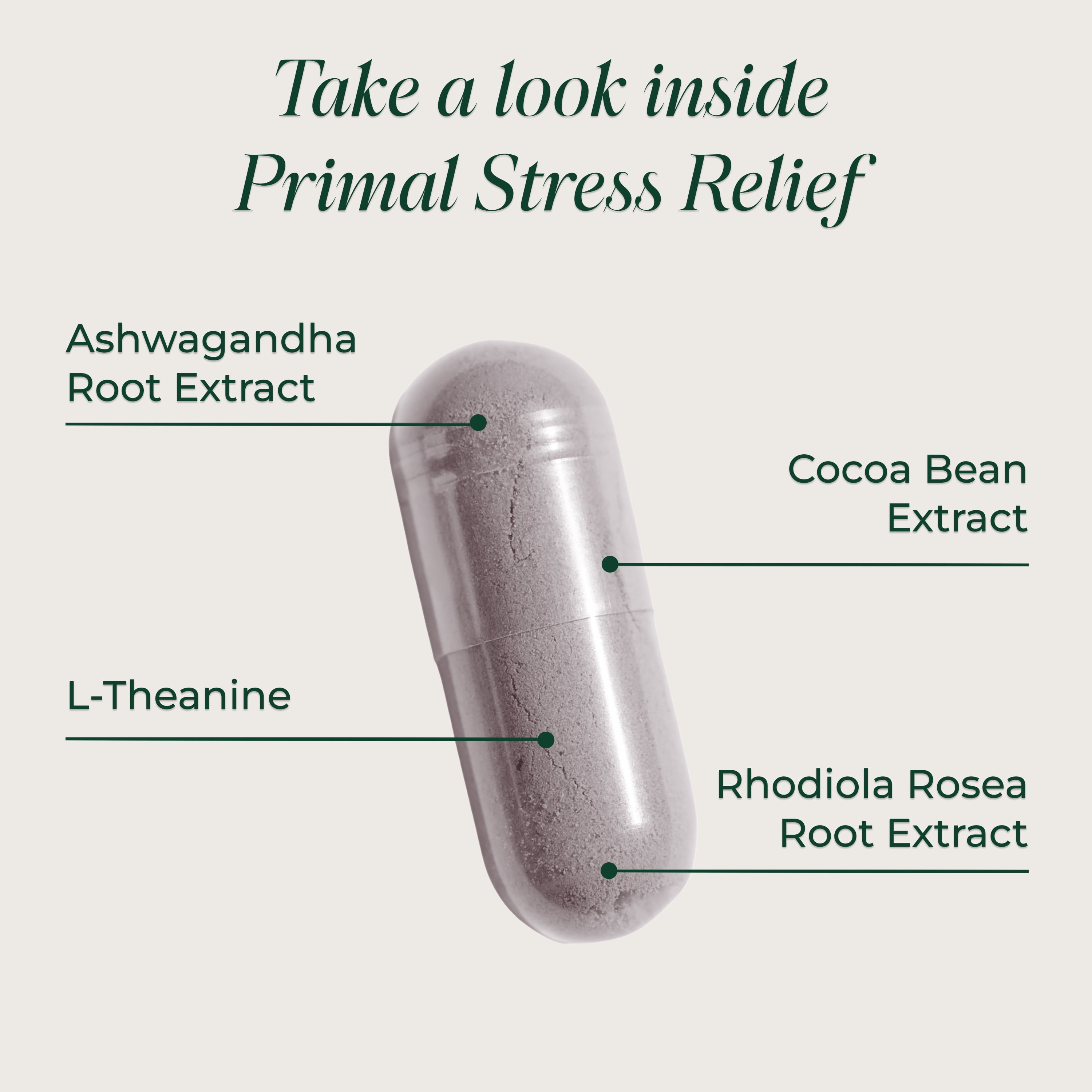 Primal Harvest Primal Stress Relief 2 Pack: Natural Herbal Complex, 60 Capsules