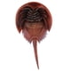 thumbnail image 5 of Modelo de cangrejo Hugo Juguete Educativo figura de animal, 5 of 6