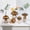 Brown, variant on Glasseam Set of 5 Iridescent Glass Mushroom Vases: Shimmering Colorful Propagation Stations Small Bud Vases for Flowers Rainbow Home Decor Cute Planter Gift (MultiColor Glow)