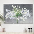 thumbnail image 1 of Designart - Flower Cleome Splash I - Traditional Floral Canvas Artwork, 1 of 1