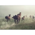 thumbnail image 2 of wall26 - Group of Horses on The Meadow at The Morning - Removable Wall Mural | Self-Adhesive Large Wallpaper - 100x144 inches, 2 of 6