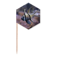 thumbnail image 1 of Image Nature Poisson Océan Cure-Dents Drapeaux Pics à Cupcakes Célébration de Fête, 1 of 3