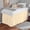 Ivory Solid, variant on Dorm Bed Skirt - Extra Long College Dorm Bed Skirt 30" Drop - 100% Microfiber Ruffled Dorm Sized (39" x 80") College Bed Skirts, Elastic Bed Skirt for Easy Fitting - White Solid, Twin-XL Size.