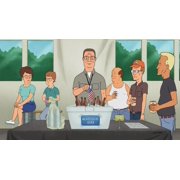 King of the Hill Complete Series Seasons 1-13 (DVD)