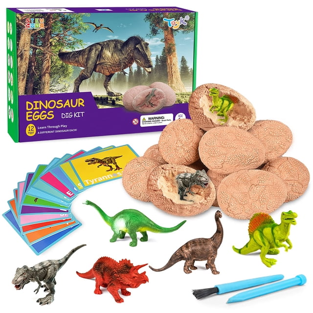 Desenterrar huevos fósiles de dinosaurio, abrir 12 huevos únicos y descubrir 12 lindos dinosaurios, juguete de excavación de Pascua para niños de 3, 4, 5, 6, 7, 8, 9 a 12 años, regalo de tallo de cien