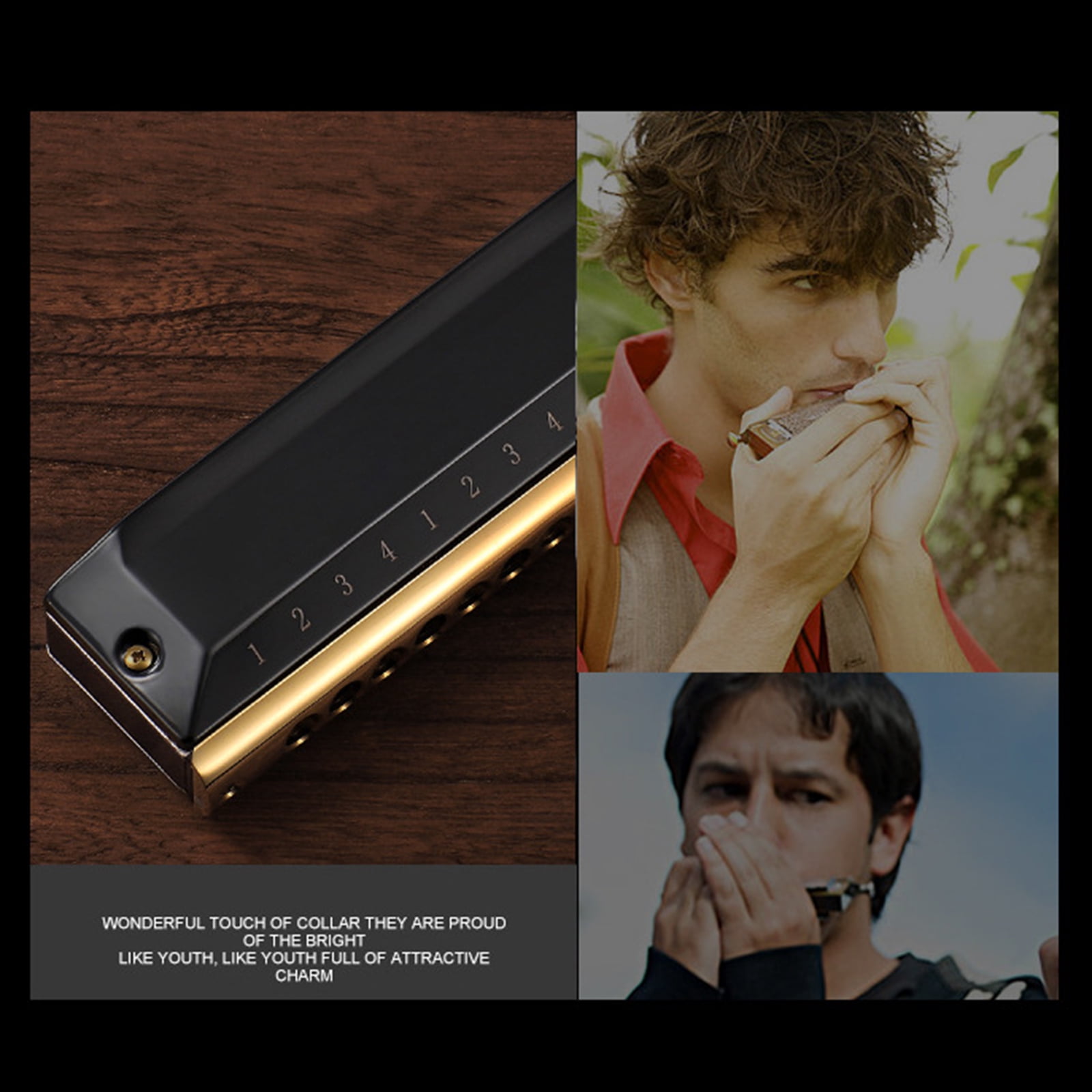 12 Hole Organ Harmonica Chromatic Harmonica for Key of C for Professionals & Stu