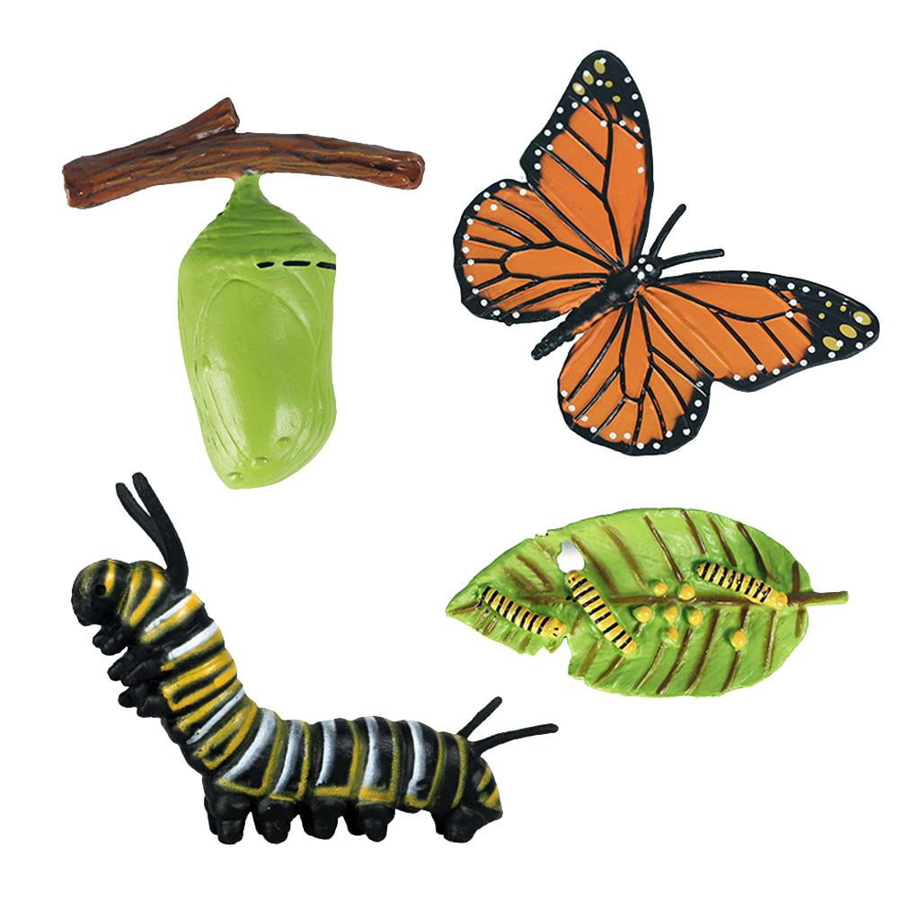 4Pcs Cicada Growth Figure Insect Life Cycle Model Education Cognitive Toy 