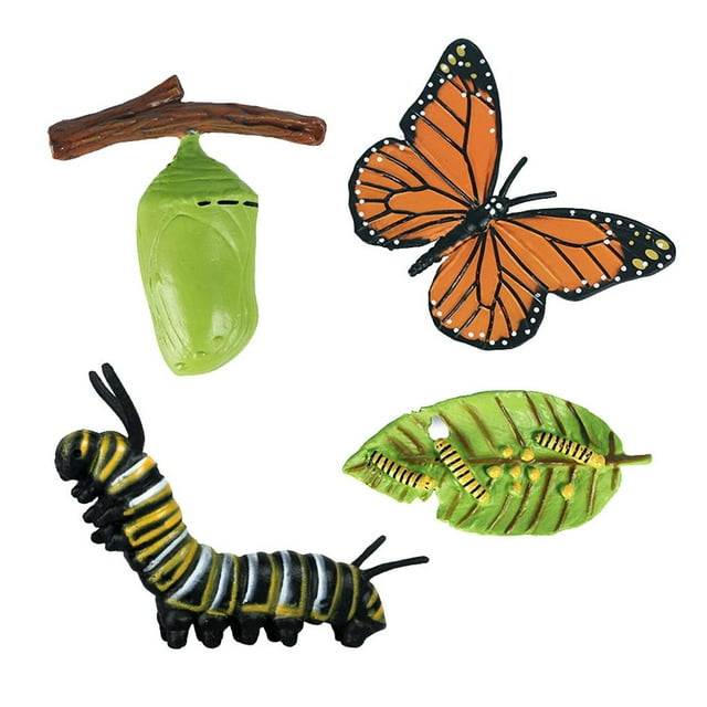 Juego de crecimiento de insectos para niños Zulema Educación infantil Aprendizaje Enseñanza