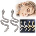 thumbnail image 1 of Pendientes largos en forma de agua con personalidad femenina exagerada Pendientes y aretes versátiles en forma de S completa, 1 of 5