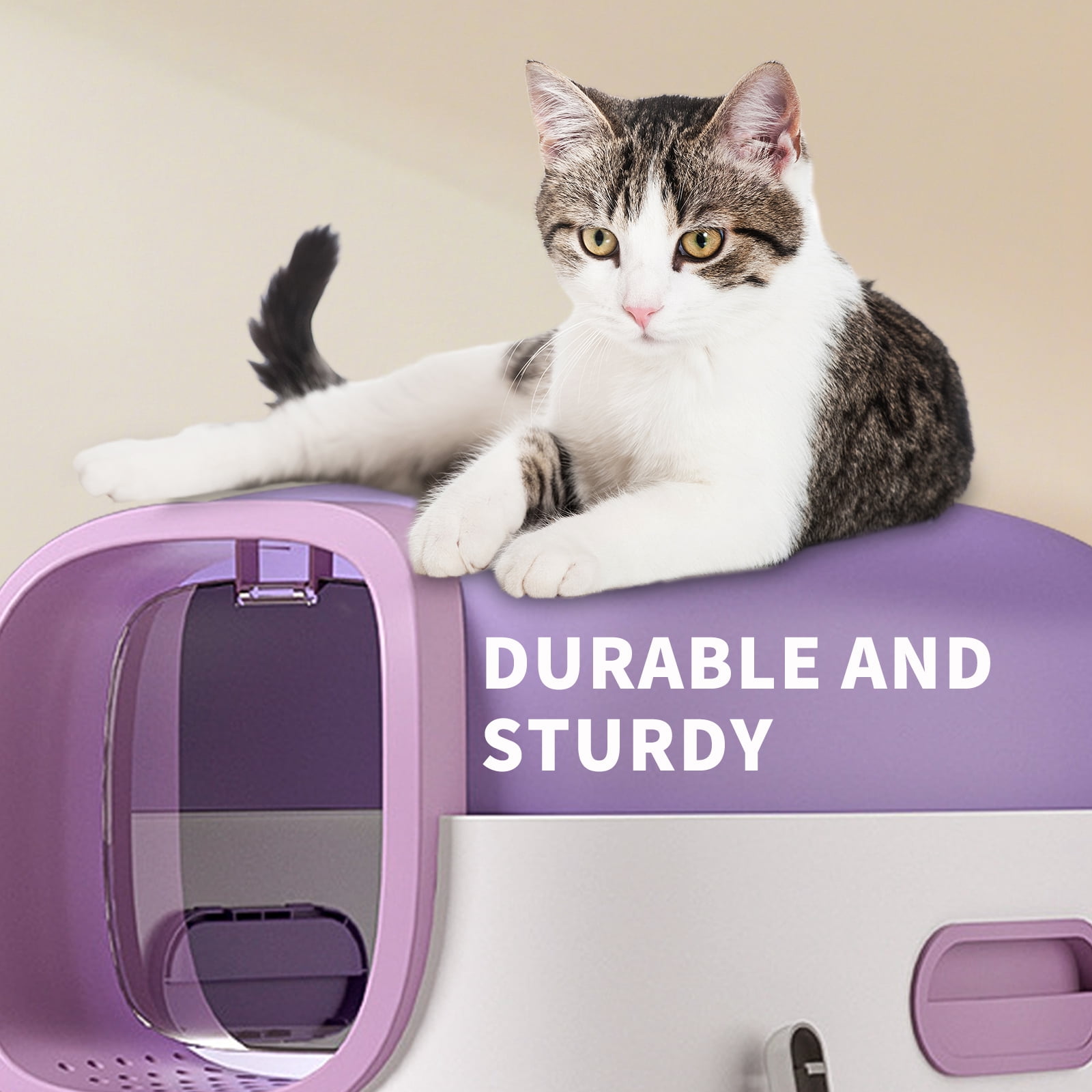 Open Transparent Cat Litter Box, Large Indoor Easy Entry Kitty Litter Pan with Litter Scoop, Ventilated Sleek Modern Decorative Pet Toilet Durable Safe for Household Cats