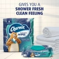thumbnail image 6 of Charmin Flushable Wipes, (Pack of 6), 6 of 6