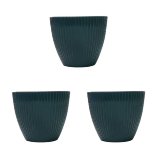 Monstrate Plantas Suculentas Para Espacios Pequeños Y De Fácil Mantenimiento Y Tamaños Jungle Green 19CM Type1 NO1