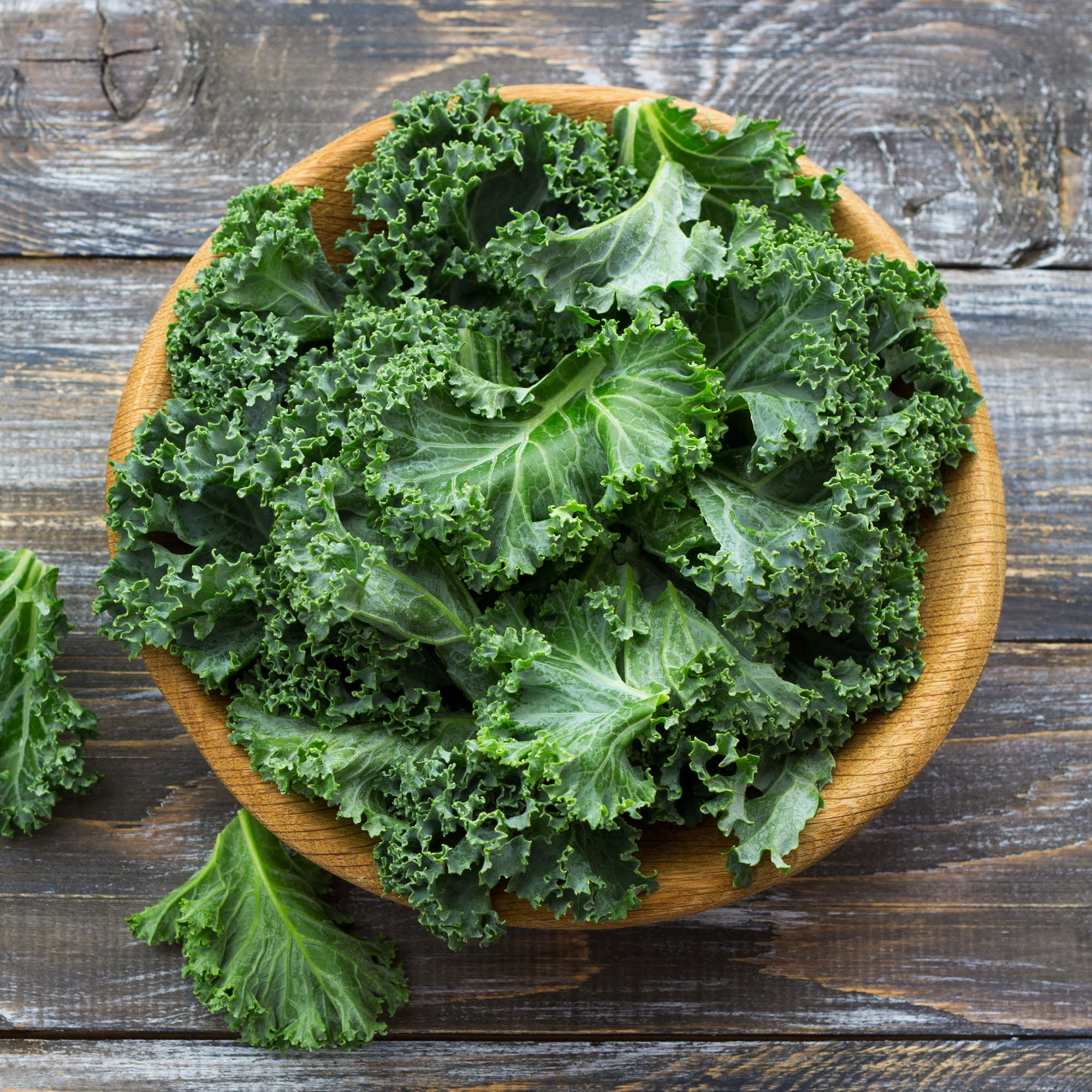 Bonnie Plants Curly Kale 19.3 oz. 4.5-inch