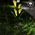 thumbnail image 4 of Flores solares decorativas al aire libre, decoración LED cambiante multicolor para patio, césped, jardín, patio, 4 of 5