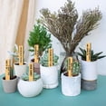 thumbnail image 5 of 15 Pcs Wood Funny Plant Labels 15 Styles Wooden Garden Signs with Funny Words Plants Tags for Indoor Outdoor Flowers Patio Vegetable Gardener Gifts 2.54x15.24cm(1x6 inch) Mixed Color, 5 of 7