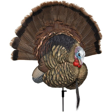 Avian-X Trophy Tom Turkey Decoy Wall Display Collapsible Standing -AVX8021