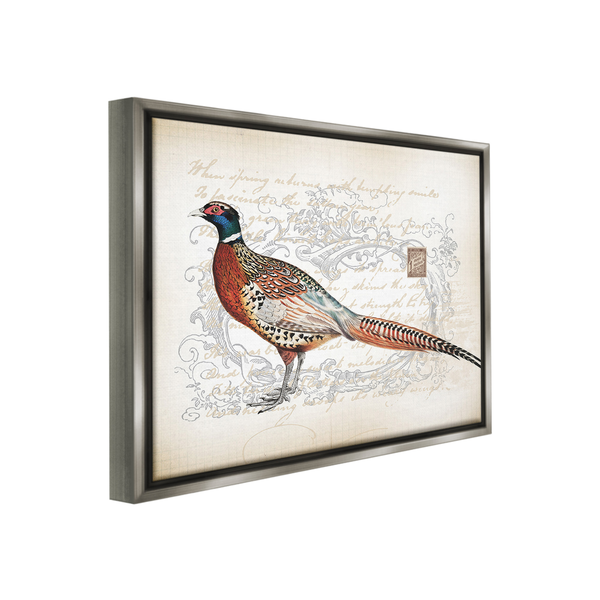 Stupell Industries Pheasant & Vintage Pattern Animals & Insects Painting Gray Floater Framed Canvas Art Print Wall Art, 31 x 25