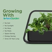 AeroGarden Sprout with Gourmet Herbs Seed Pod Kit, Black