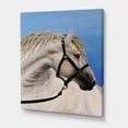 thumbnail image 3 of Designart ' Close Up Of White Horse In The Furrow ' Farmhouse Canvas Wall Art Print, 3 of 4