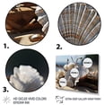 thumbnail image 3 of Designart "Seashell Sonata Beach Photo II" Nautical & Beach Floater Framed Canvas Print, 3 of 7