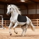 thumbnail image 1 of Mantilla para caballos para entrenamiento y competición, antideslizante, para equitación occidental, protección deportiva, amortiguadora., 1 of 8