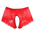 thumbnail image 3 of Bragas de entrepierna abierta de encaje Sexy ultrafinas, lencería exótica sin entrepierna, calzoncillos de malla transparente, ropa interior para mujer, 3 of 5