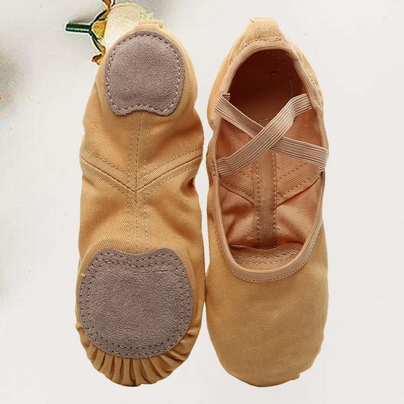 Raindrops 1 Pair Non-slip Ballet Dancing Flats Elastic Cloth for Ladies Modern and Ballroom Dance