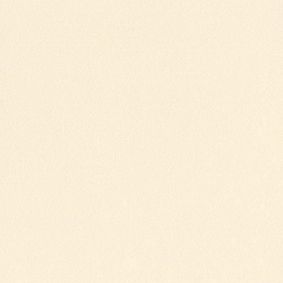 BUTTER MINTS 12x12 Smooth 100 lb Cardstock by Bazzill Card Shoppe for