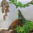 thumbnail image 2 of CNKOO Reptile Breed Box Decoration Plant Scenery Simulation Plant Rattan 3 PCS, 2 of 7