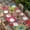 Light Green Light Blue Deep Red, variant on Colorful Ethnic Table Cloths for 4 Foot Rectangle Tables, National Modern Geometric Blue Green Patio Waterproof Elastic Fitted Tablecloths, Washable Rectangular Table Cover for Camping