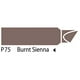 thumbnail image 3 of Marcador Profesional Chartpak Burnt Sienna P75, 3 of 3