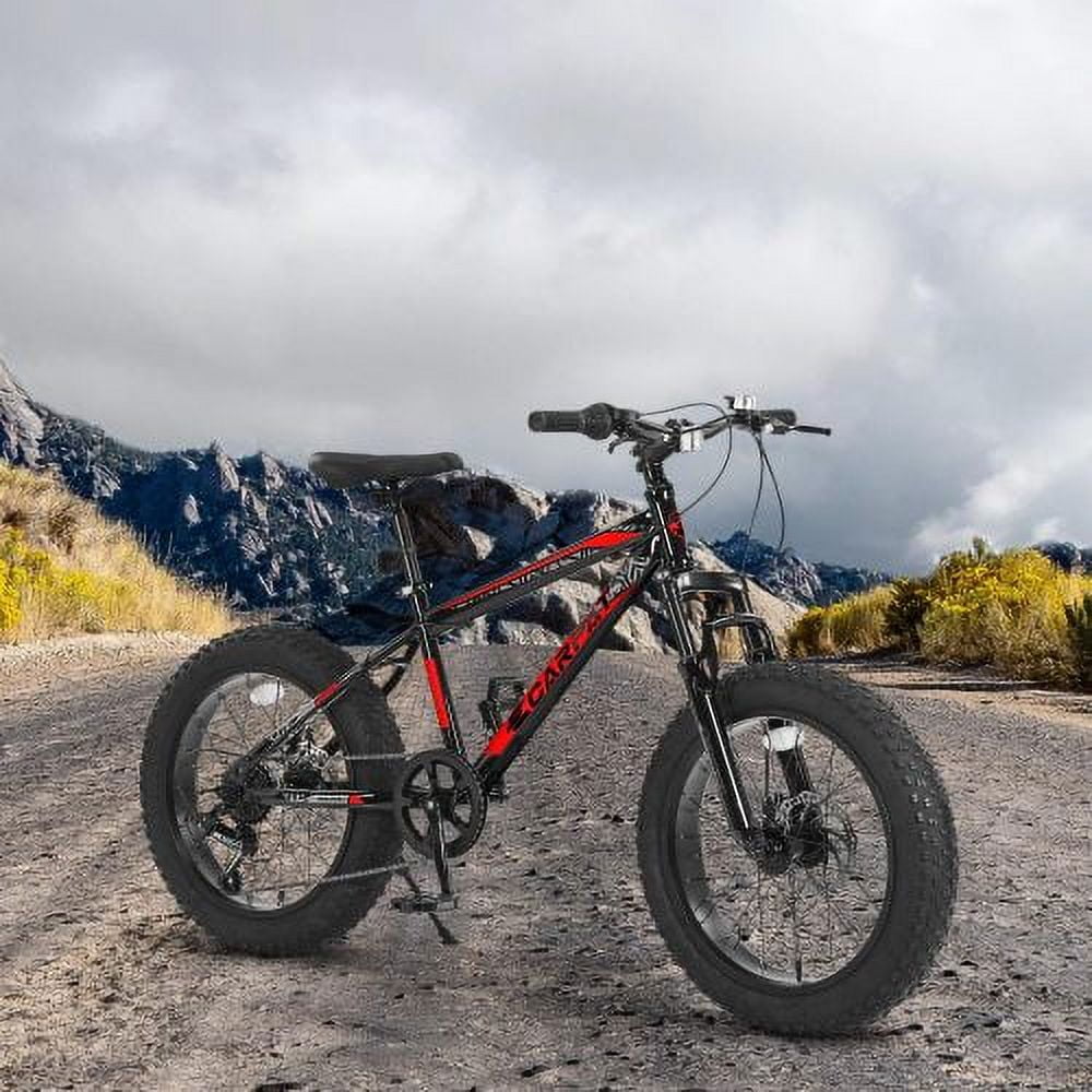 Tyethy 20 inch Wheels Mountain Bike for 15+ Years, 4" Wide Fat Tire Snow Bicycles with Disc Brakes and Front Suspension, High Carbon Steel Frame, 7-Speed, Red