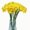 Yellow, variant on Artificial Daffodil Flowers 15.8 Inches Narcissus Spring Flower Fake Silk Flower Arrangement for Home Wedding Decor (Yellow, 12)