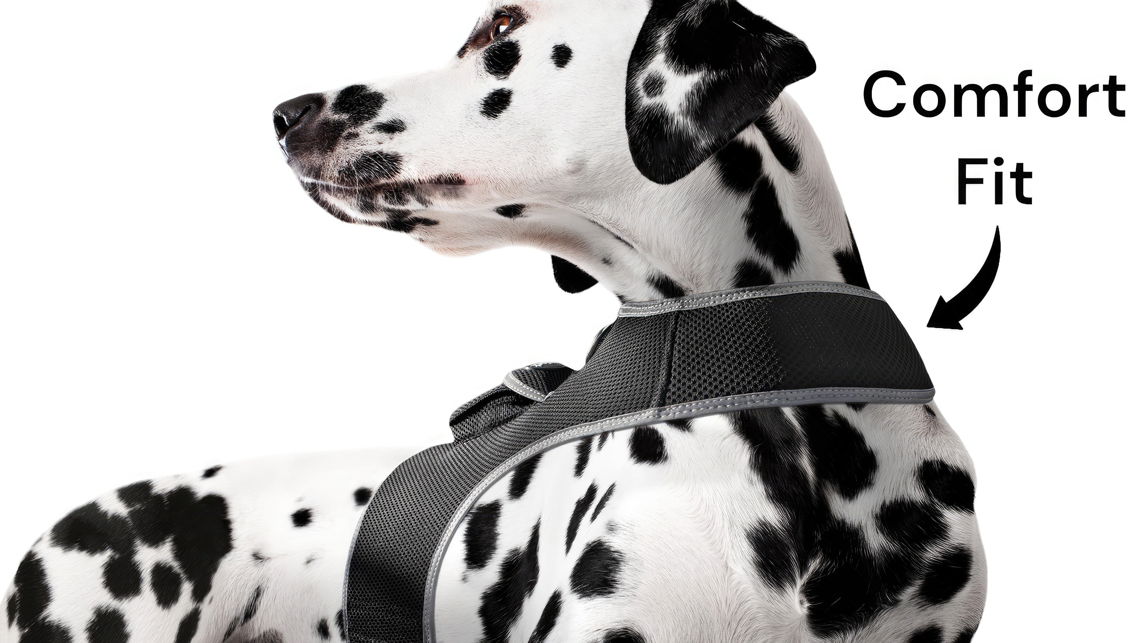Mini Pet Tracking Device Collar Mount + Mobility Detector to Extend Battery Life Size:L