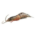 thumbnail image 4 of TISHITA Marine Animal Model Educational Learning Toy Shrimp Action Figure Toys Cognitive Black 103g, 4 of 8