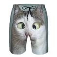 thumbnail image 4 of Kdxio Funny Cat Pattern Mens Casual Shorts - Drawstring Summer Beach Sports Shorts for Men, 4 of 9