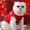 Red RD, variant on AuroraX Dog Winter Padded Vest for Small Dogs Dog Down Jacket Warm Lightweight Cotton Soft Washable Pet Apparel for Winter Red