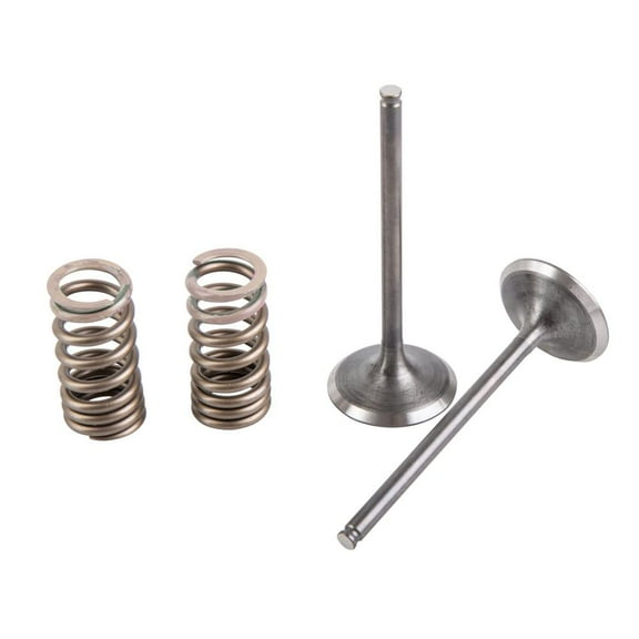 Wiseco SVK2424-I Steel Intake Valve Kit