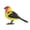 yellow01, variant on IAJFHAFS Robot Bird Singing And Chirping Bird Toy Simulate The Chirping Of Birds Battery Operated Realistic Singing Chirping Birds For Home Decoration Light & Voice Control (Without Battry)
