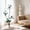 Green-5FT, variant on 5/6/7FT Tall Lifelike Artificial Magnolia Tree, 6 White Flowers in White Planter, Faux Rubber Plant for Home Office Living Room Decor