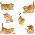 thumbnail image 5 of 3 unidades de juguete de gato de peluche de gato, juguete de gato interactivo para aumentar la relación entre el propietario y el animal Feliz Sencillez, 5 of 5